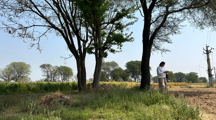 Venture Design & Experience Development