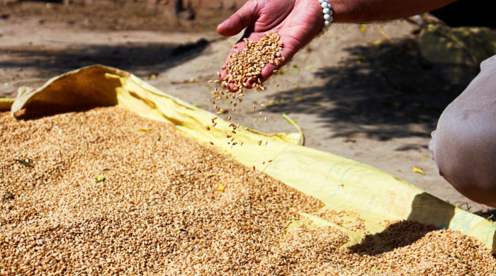 Venture Design & Experience Development