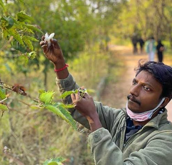 Venture Design & Experience Development