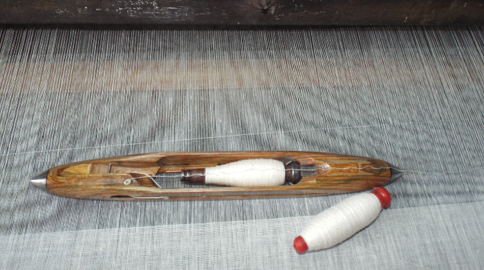 Venture Design & Experience Development